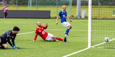 Alexander gegn Leikni F