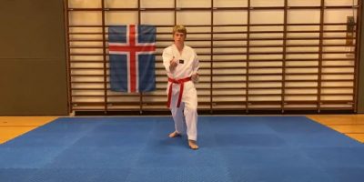 Bjarki Kjartansson mót 2020 vefur
