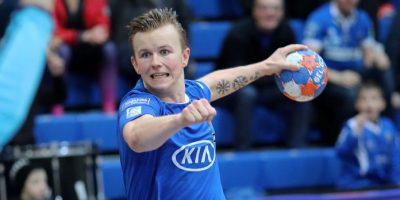 Davíðsson geng haukum vefur