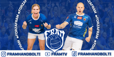 Fyrir heimasíðu (11)
