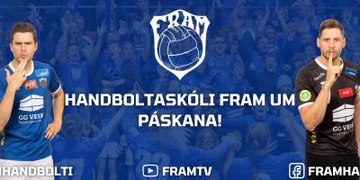 Fyrir heimasíðu (21)