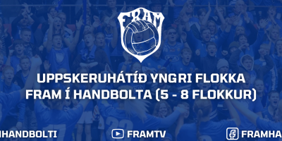 Fyrir heimasíðu (22)