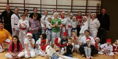 Jólaæfing í Taekwondo 2014 vefur