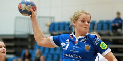 Steinunn gegn stjörnunni II vefur