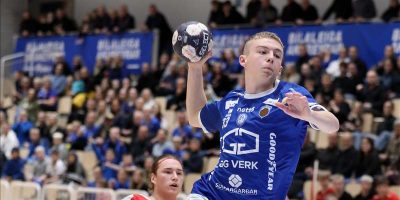 Theodór Sig vefur