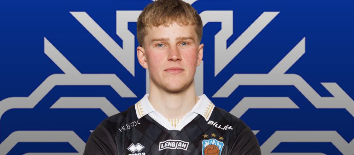 Viktor Freyr A landslið Íslands vefur