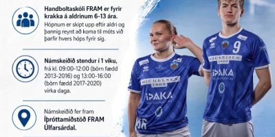 handboltaskóli